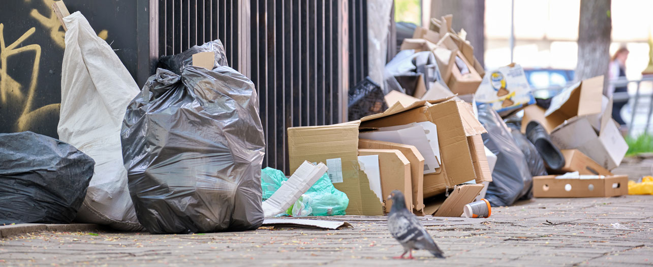 Waste Skip for Waste Disposal in Dubai