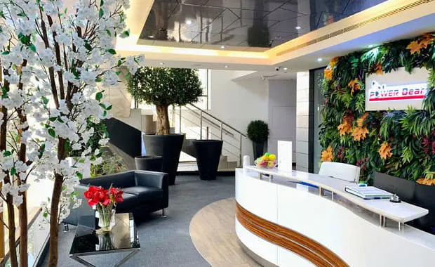 Power Bear Office Space